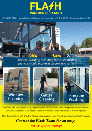 Flyer Design by CreativeDK for Flash Window Cleaning | Design: #12242752