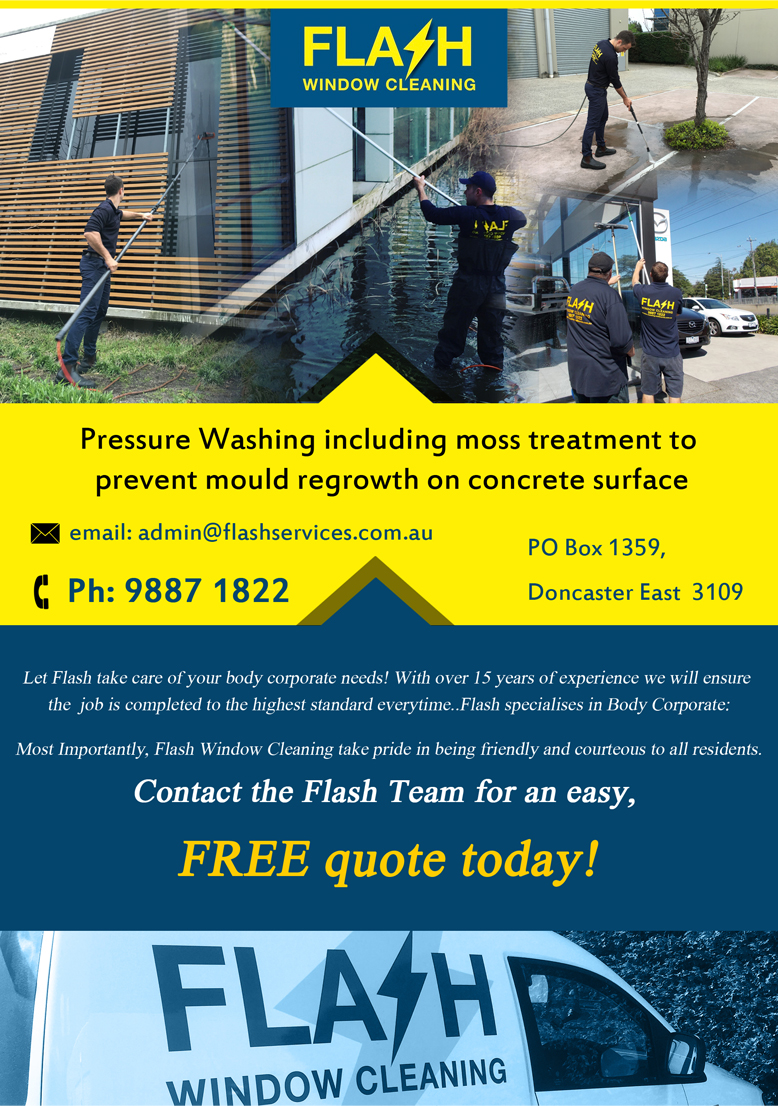 Diseño de Flyer por CreativeDK para Flash Window Cleaning | Diseño #12249058