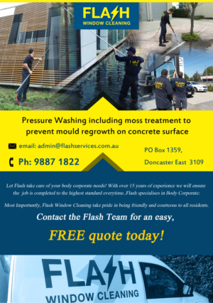 Flyer-Design von DK Designs für Flash Window Cleaning | Design #12249058