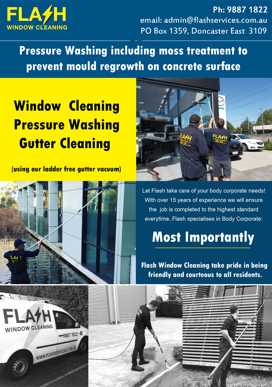Flyer Design by CreativeDK for Flash Window Cleaning | Design #12250485