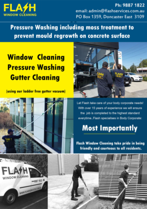 Flyer Design by CreativeDK for Flash Window Cleaning | Design: #12250485