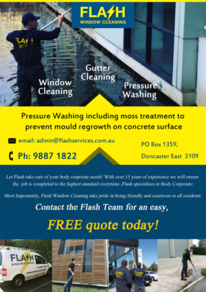 Flyer Design by CreativeDK for Flash Window Cleaning | Design: #12250494