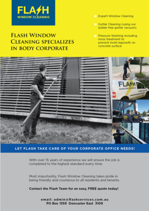 Flyer-Design von holycow für Flash Window Cleaning | Design #12225294