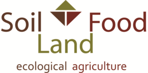 Logo Design by Aditi