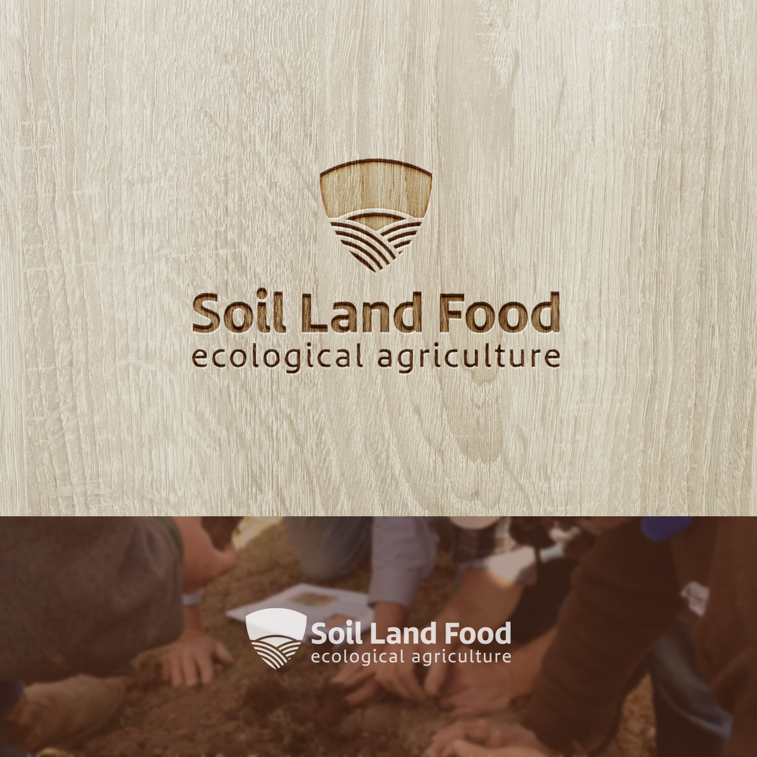 Diseño de Logo por Grapismo Brand Studio para este proyecto | Diseño #12309933