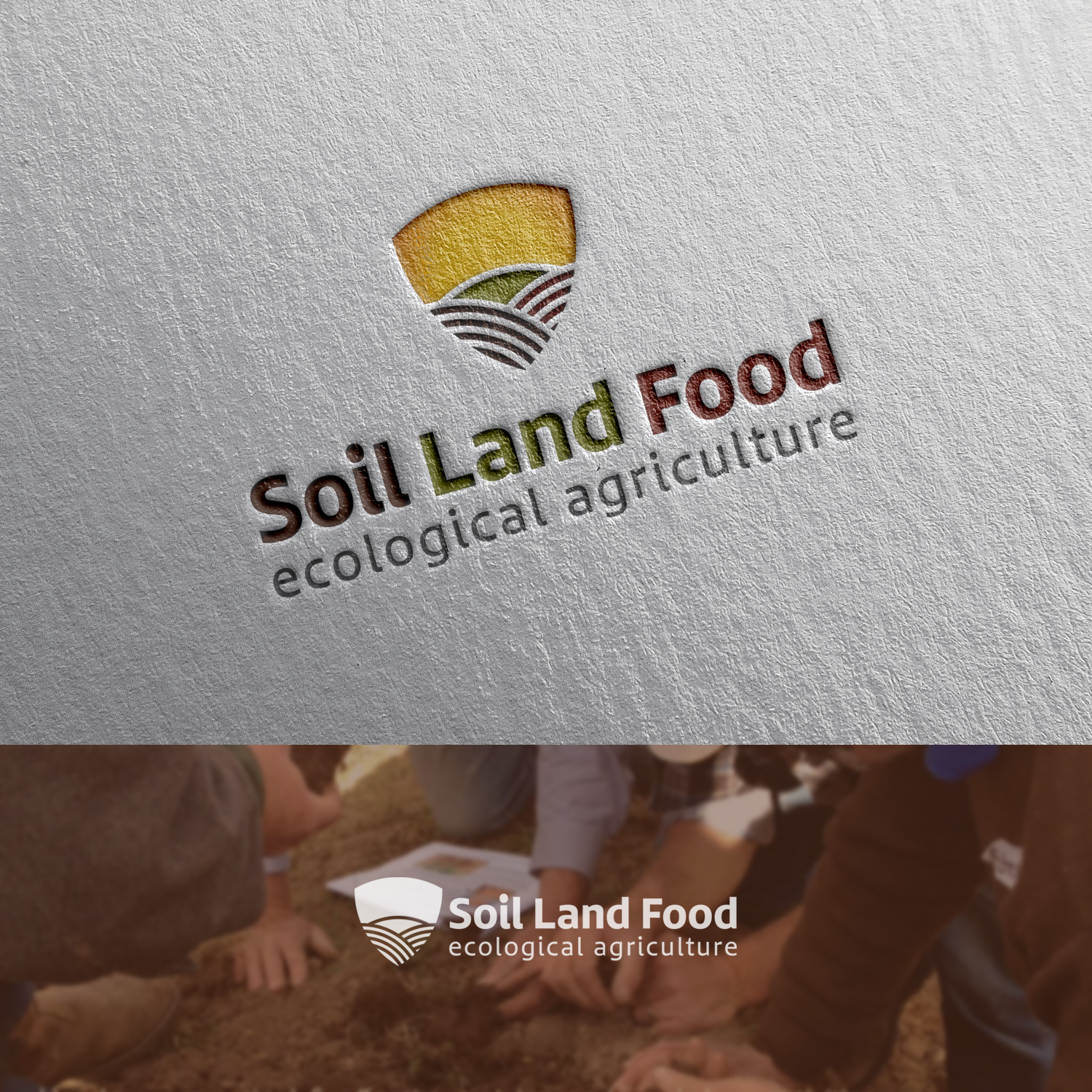 Logo Design by Grapismo Brand Studio for this project | Design #12309985