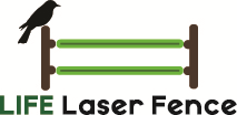 Logo Design by pawbeatriss