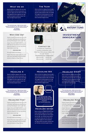 Law Firm Investment Immigration Brochure | Design de Brochure par Dyal Design