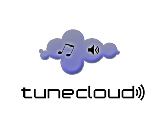 Logo Design by Vizualmedium