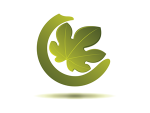 Logo Design by shridhar