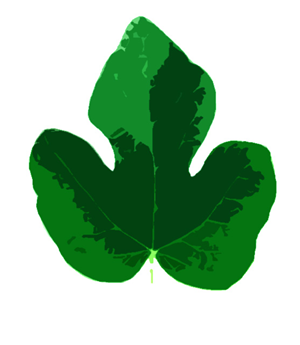 Logo Design by Kiara