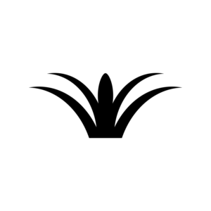 Logo Design by m.solech57