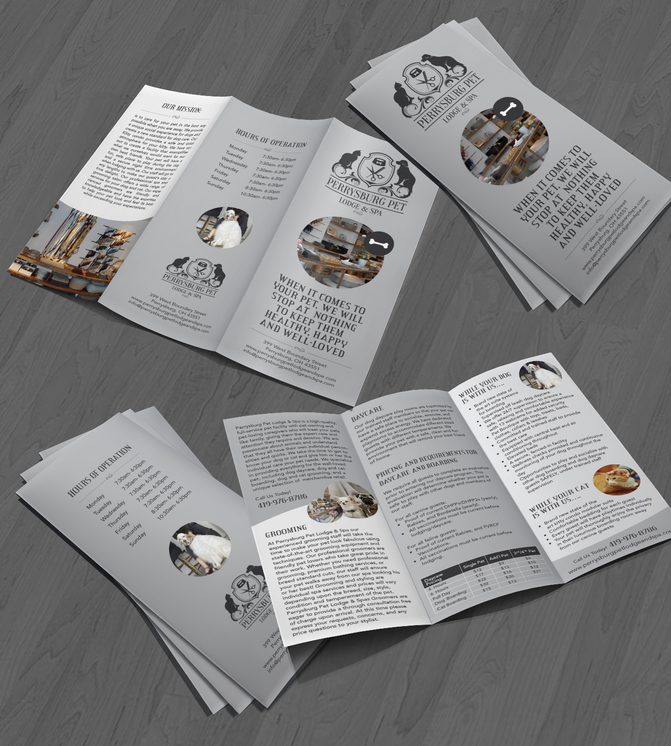 Brochure Design by Achiver for this project | Design #12279125