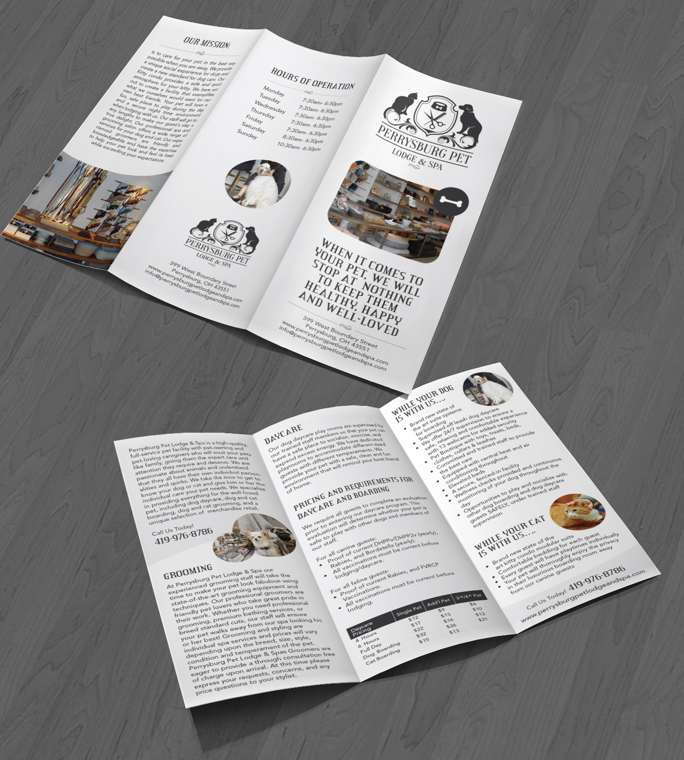 Brochure Design by Achiver for this project | Design #12287535