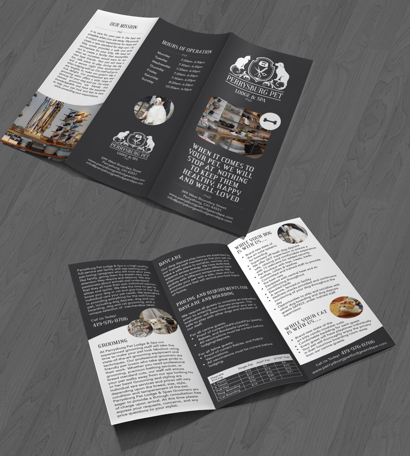 Brochure Design by Achiver for this project | Design #12293315