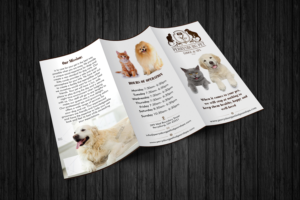 Brochure Design by ecorokerz for this project | Design #12293482