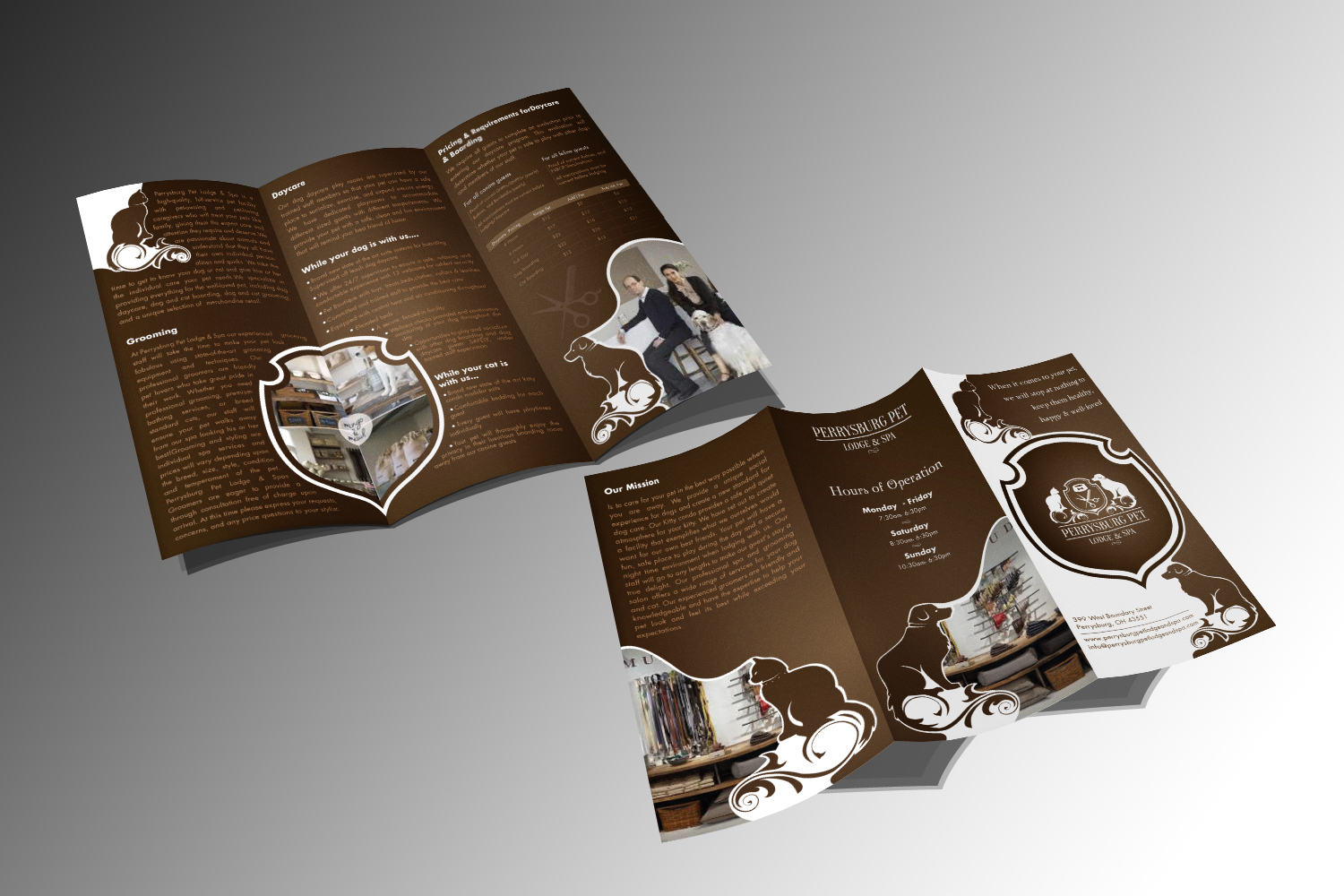 Brochure Design by tanmoy.pramanik for this project | Design #12288461