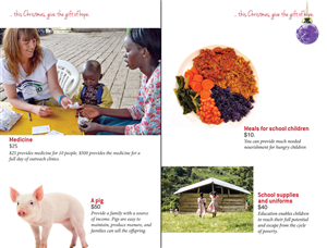 Design de Catalogue par Bazzie L pour ce projet | Design : #2411322