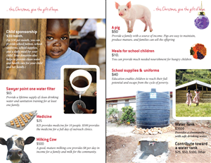 Design de Catalogue par Bazzie L pour ce projet | Design : #2415284