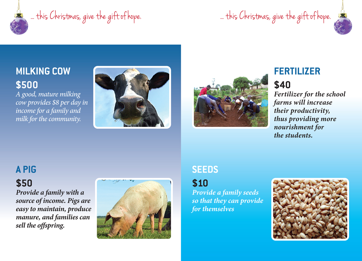 Diseño de Catálogo por Bazzie L para este proyecto | Diseño #2432046