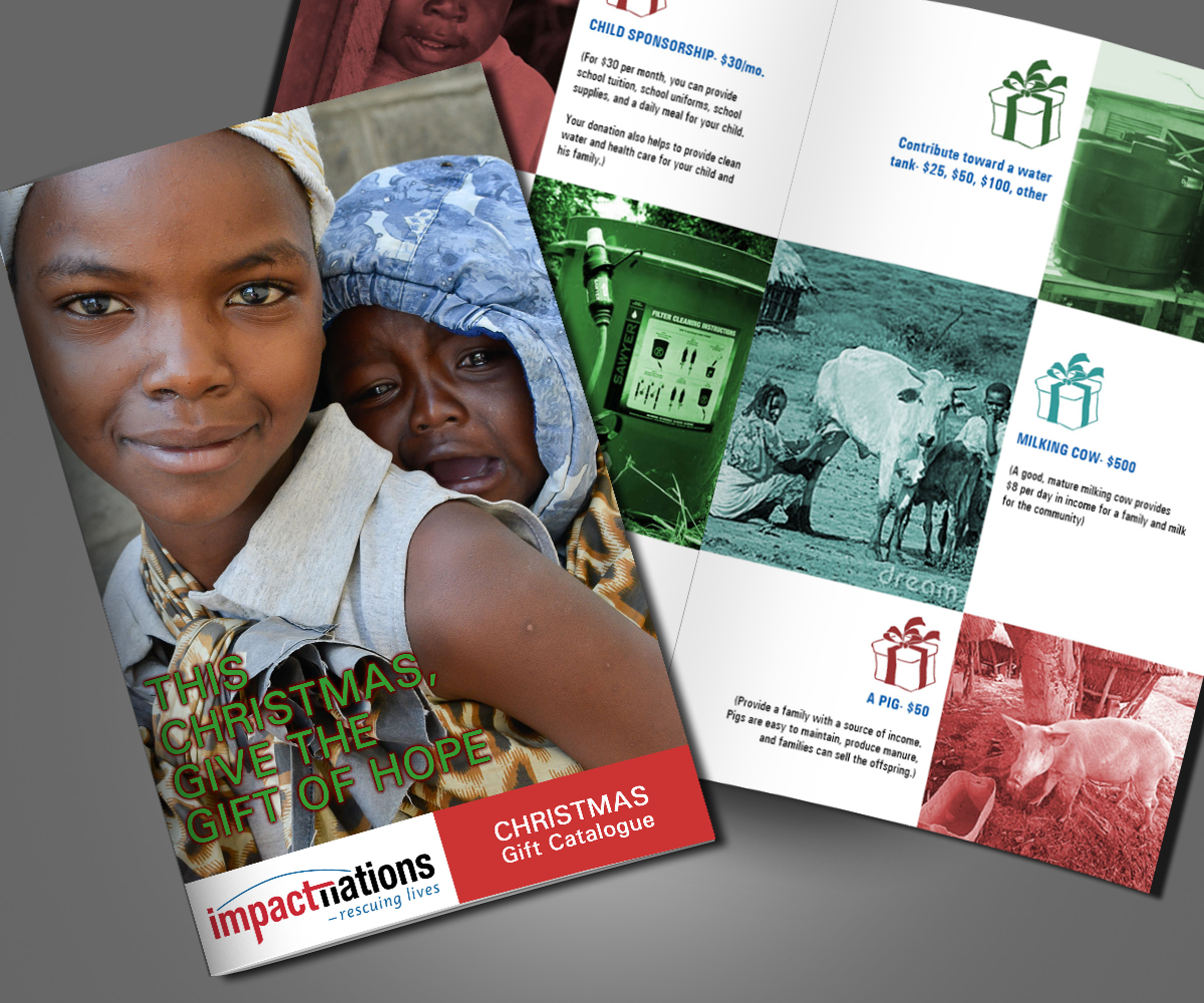 Diseño de Catálogo por GliderGraphx para este proyecto | Diseño #2419376