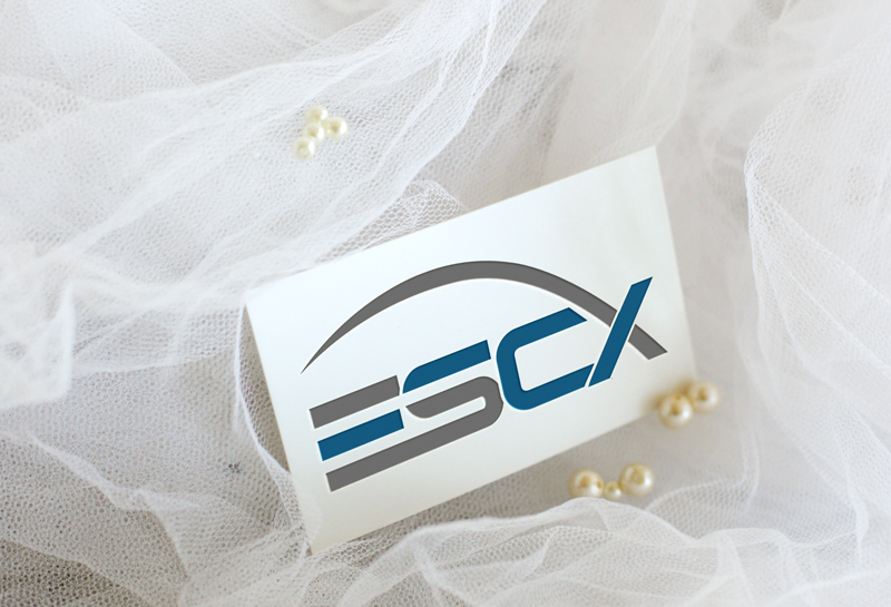 Logo Design by EGYPT KING for this project | Design #12282692