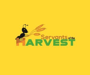 Logo Design by Next Dezign