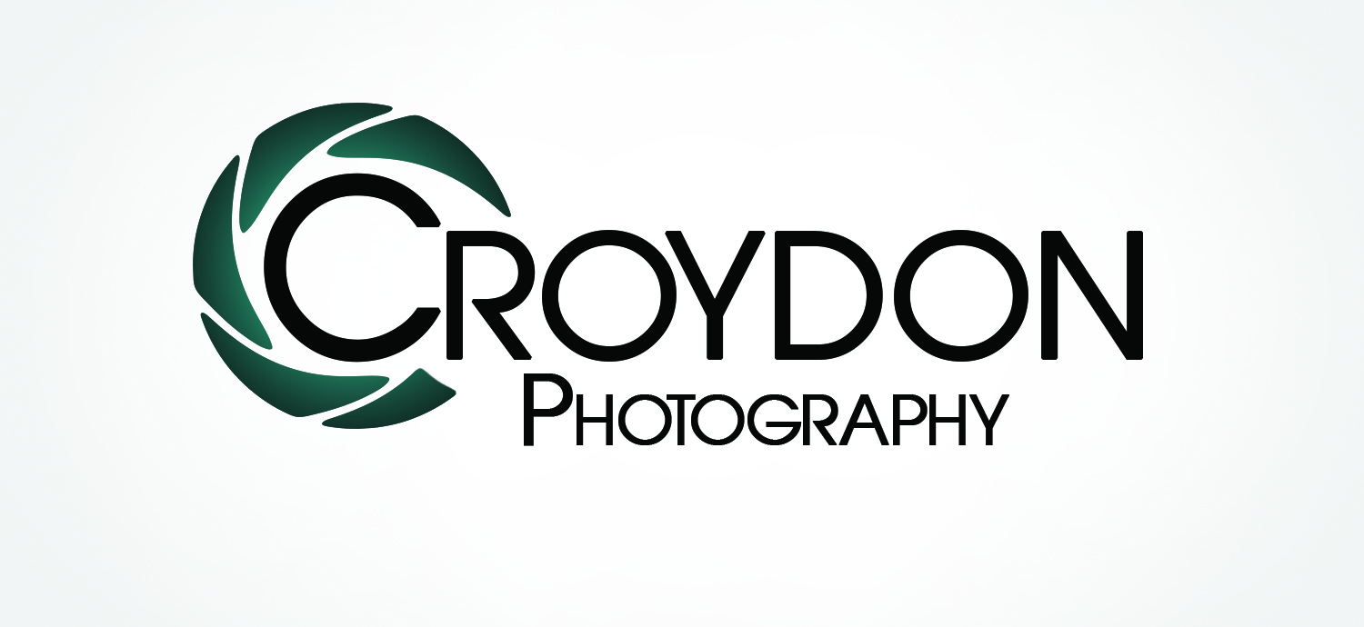 Logo Design by Flying Spade Graphics for this project | Design #12248252