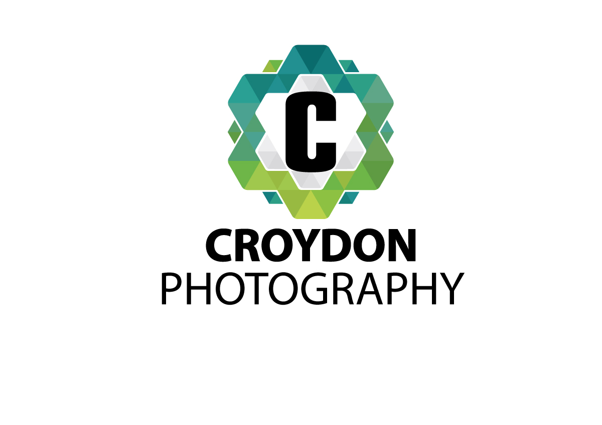 Logo Design by shachibelani for this project | Design #12320262