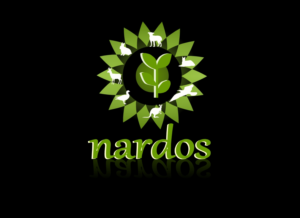 Logo Design by shafrazmohamed106