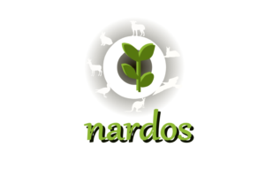 Diseño de Logo por shafrazmohamed106 para este proyecto | Diseño: #12343914