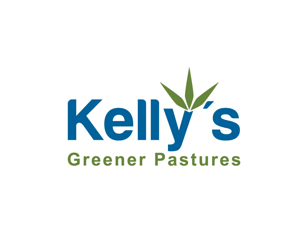 Logo Design by logomaster24 for this project | Design #12311693