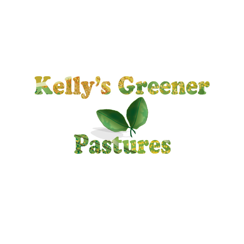 Diseño de Logo por ktgrandy para este proyecto | Diseño #12376250