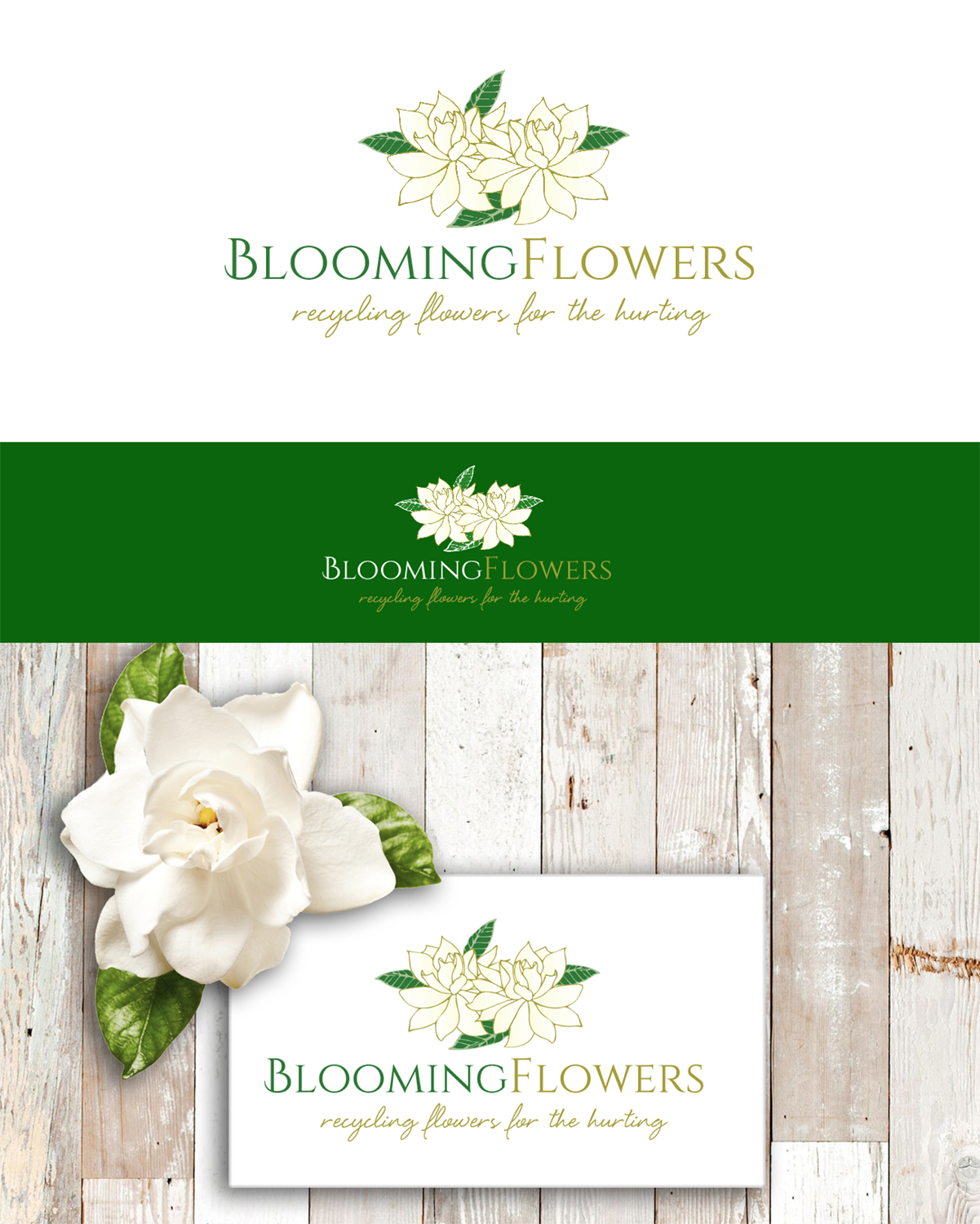 Diseño de Logo por wonderland para este proyecto | Diseño #12361671