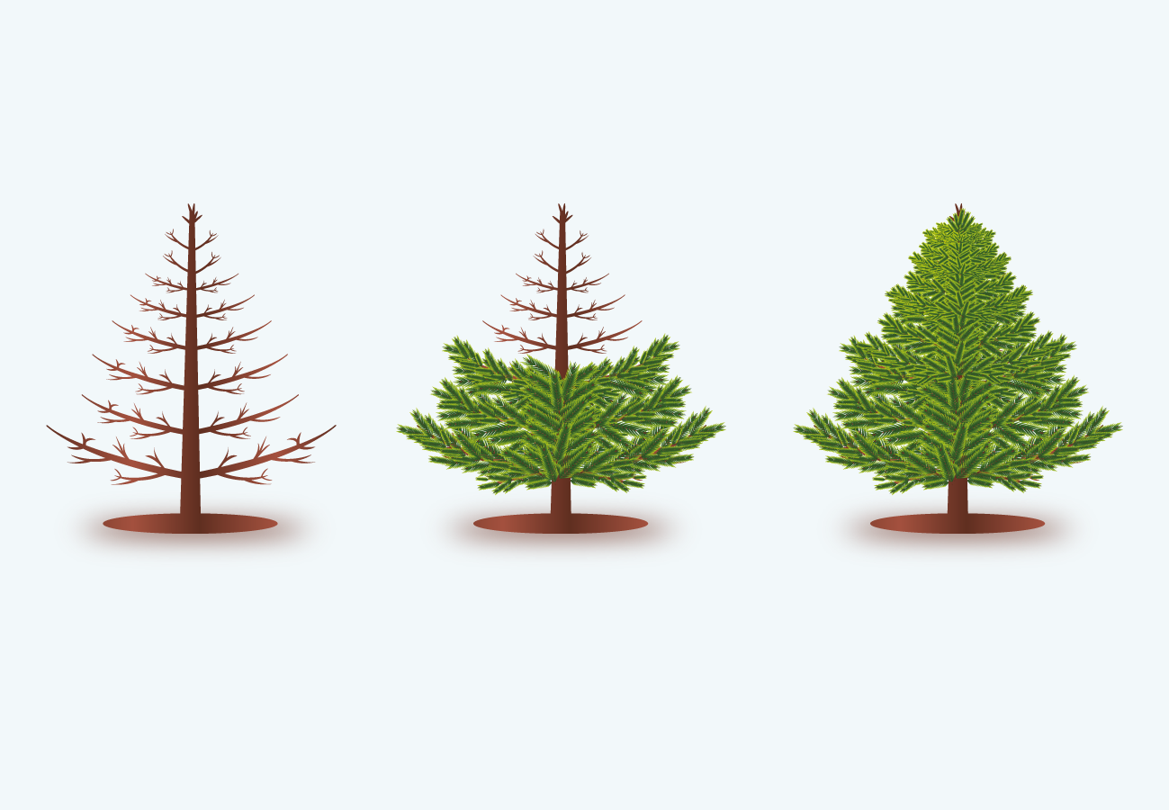 Illustration Design by digitalzoom for this project | Design #2396410