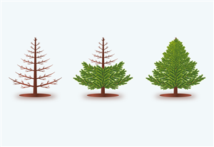 Illustration Design by digitalzoom