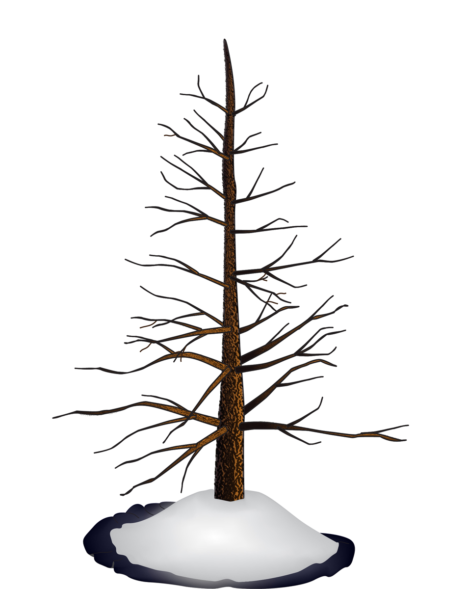 Illustration Design by  Ron B for this project | Design #2397108
