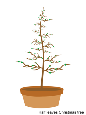 Design Illustration par Parul pour ce projet | Design : #2401076