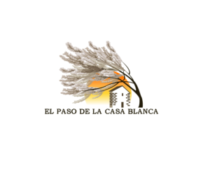 Logo Design by Jay Design