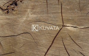 Logo Design by Mehedi Hasan ™ for this project | Design: #12255089