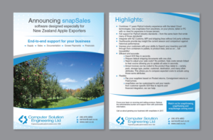 Flyer Design by Achiver for this project | Design: #12302120