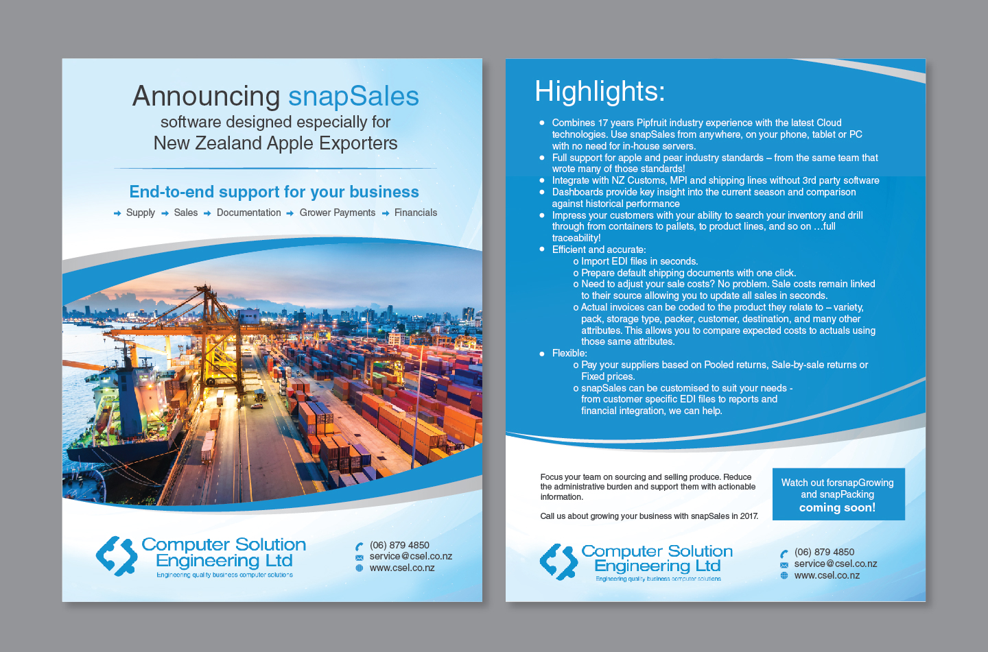 modern professional business flyer