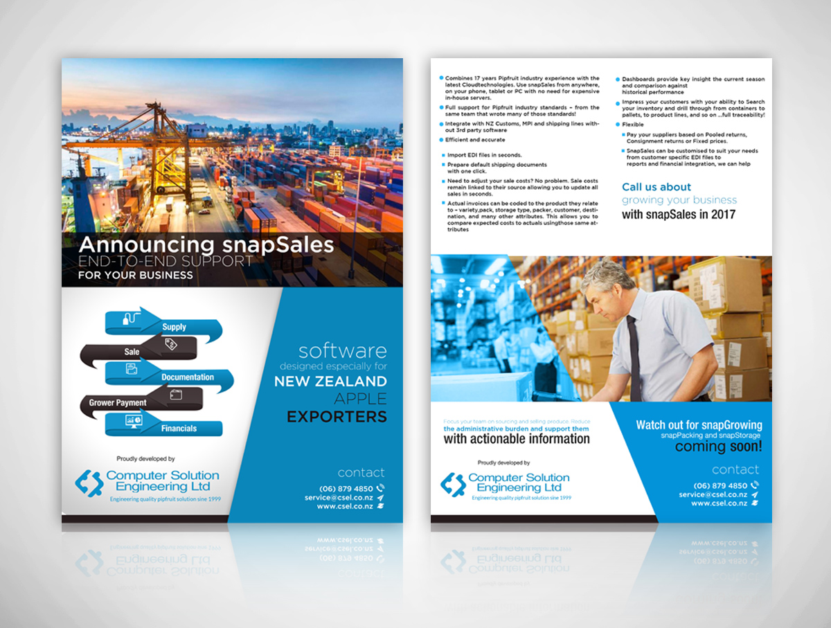 professional business flyer