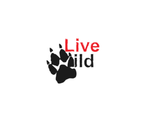 Logo Design by wayo remora for this project | Design: #12333133