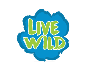 Logo Design by juan6991 for this project | Design: #12298509