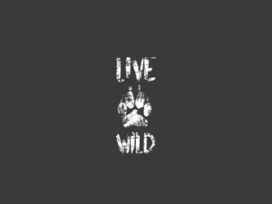 Logo Design by mldtrvs for this project | Design: #12346056