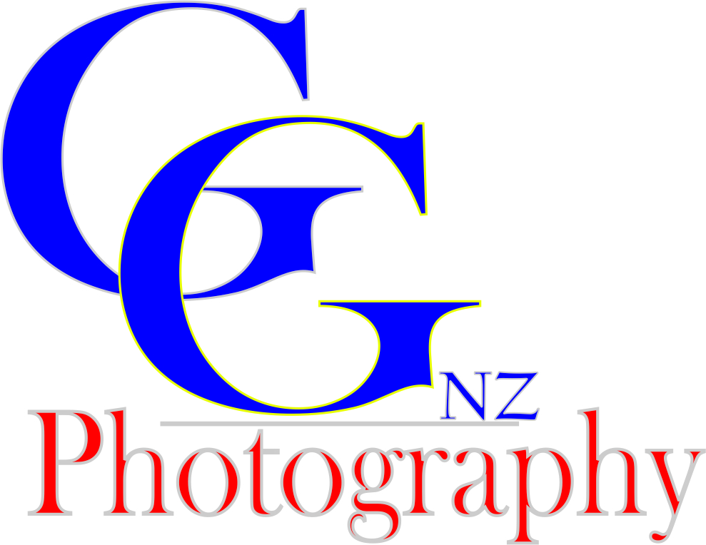 Logo Design by Toni Setiawan for GG Photography NZ | Design #12268480