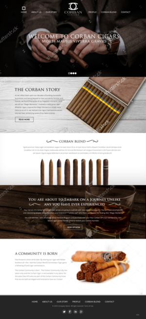 Web Design by pb for this project | Design: #12365044