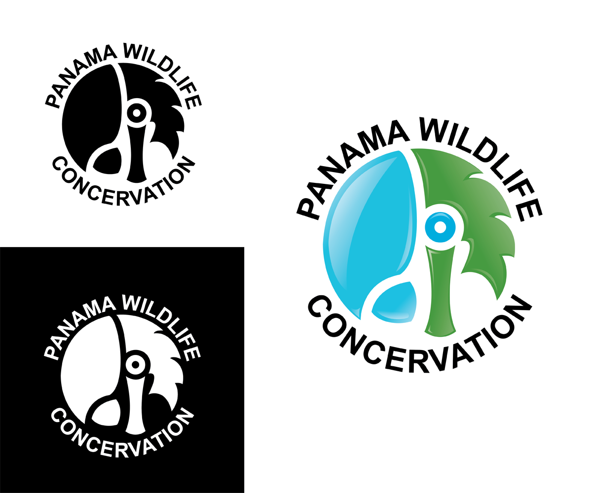 Logo Design by Nathan Heins for this project | Design #2437547