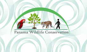 Diseño de Logo por COGEY para este proyecto | Diseño #2430979